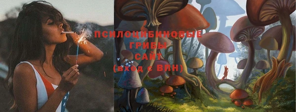 кокаин колумбия Алексин
