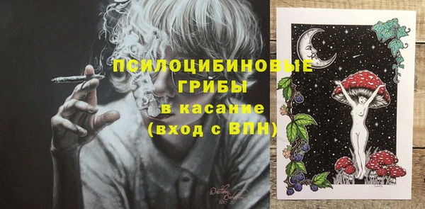 ГАЛЛЮЦИНОГЕННЫЕ ГРИБЫ Нягань