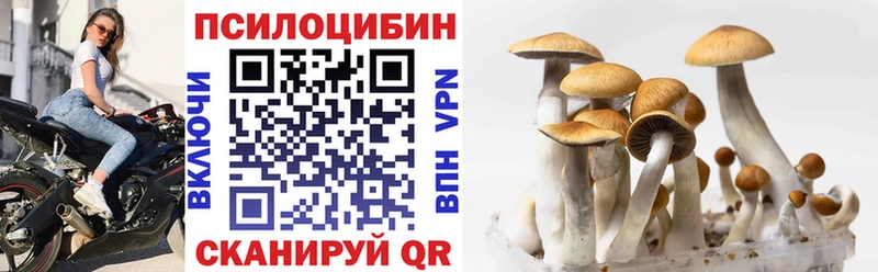 blacksprut вход  Лахденпохья  Псилоцибиновые грибы прущие грибы 